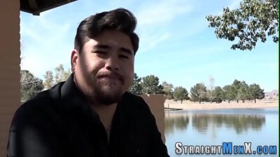 Asian bear solo tugging