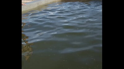 MARIBONDO SENDO FODIDO POR 2 BRANCOS VIOLENTOS