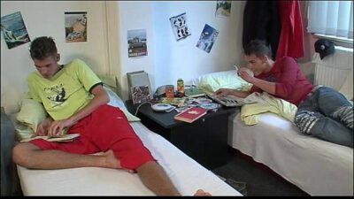 Sex in the Afternoon – BareBack