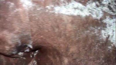 trim.0BC37294-53BD-46E6-81FB-A81E73219942.MOV