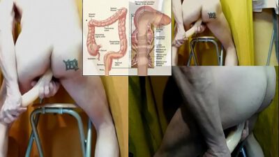 double dong anal ass insertion