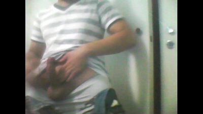 18 aninhos na webcam