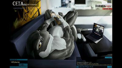 k. Whale Webcam – Condom