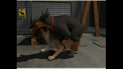 Gay dogs fucking