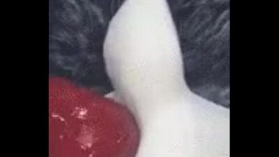 I want one immediately.