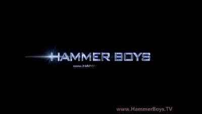 Sex seekers toy Hammerboys