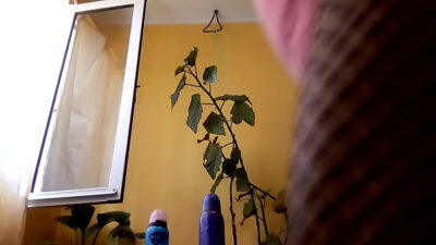 Mi cola disfrutando a pleno